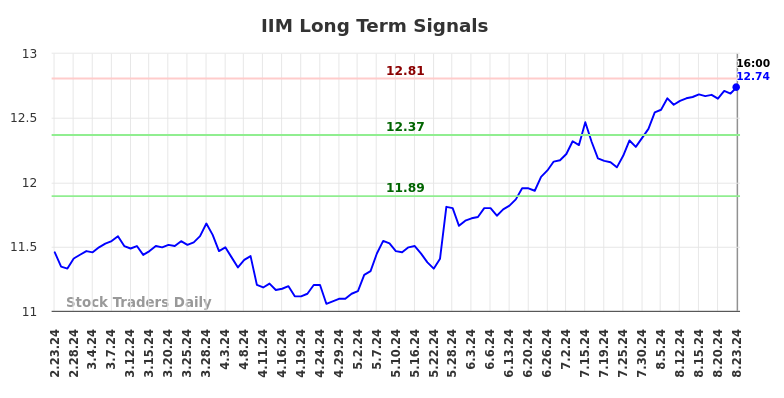 IIM Long Term Analysis for August 24 2024