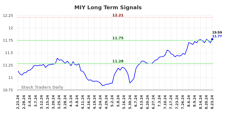 MIY Long Term Analysis for August 25 2024