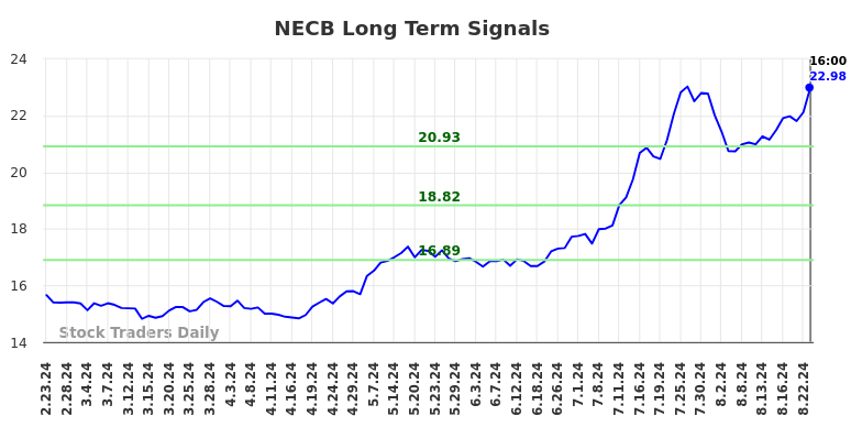 NECB Long Term Analysis for August 25 2024