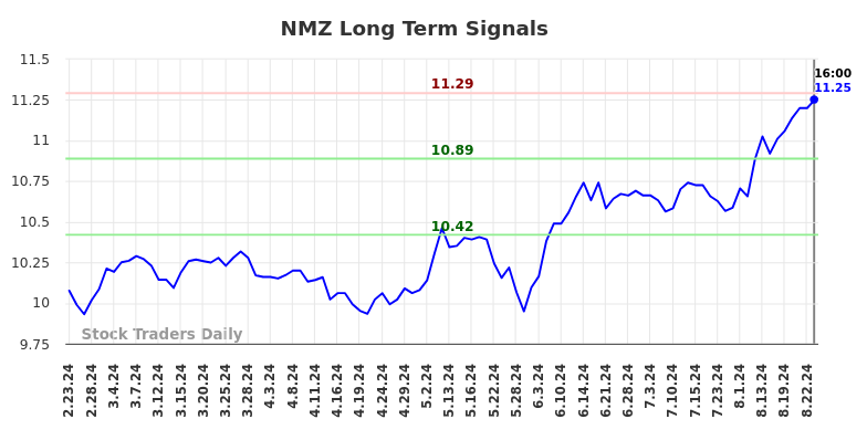 NMZ Long Term Analysis for August 25 2024