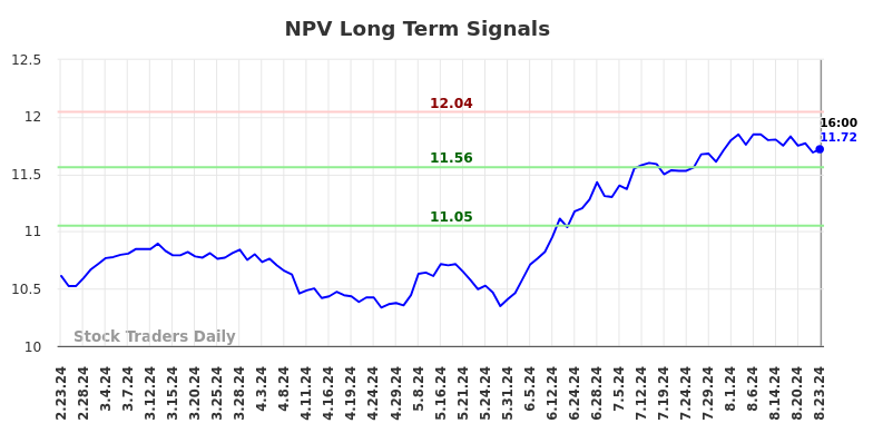 NPV Long Term Analysis for August 25 2024