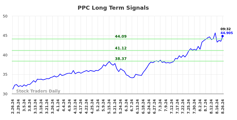 PPC Long Term Analysis for August 26 2024