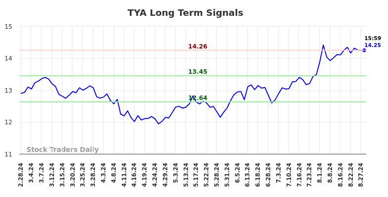 TYA Long Term Analysis for August 28 2024