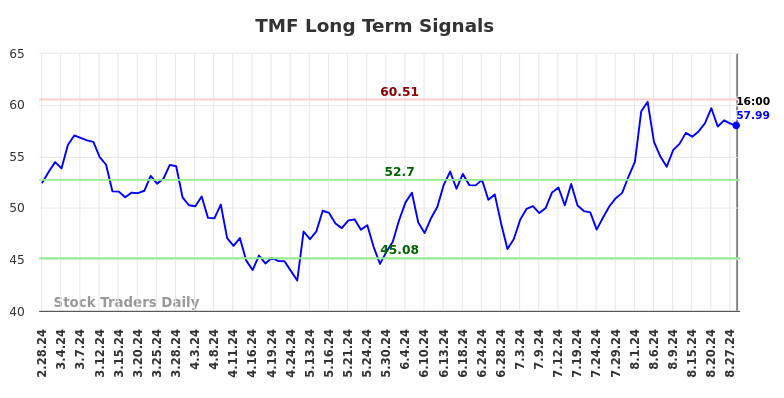 TMF Long Term Analysis for August 28 2024