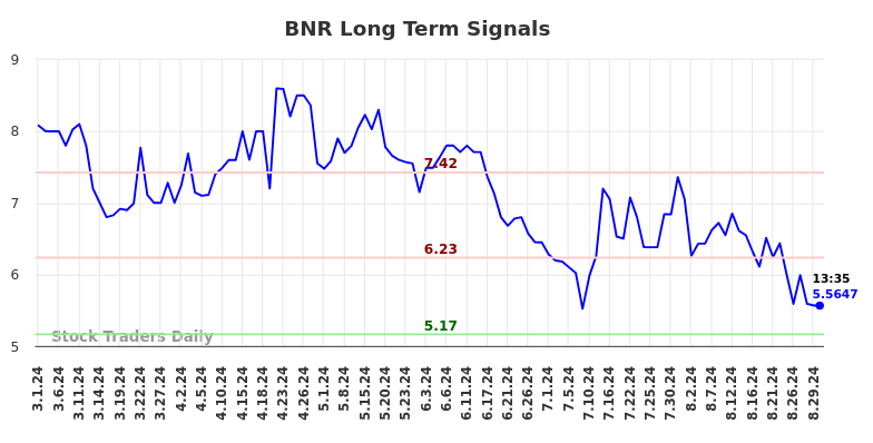 BNR Long Term Analysis for August 30 2024