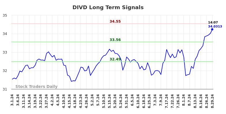 DIVD Long Term Analysis for August 31 2024