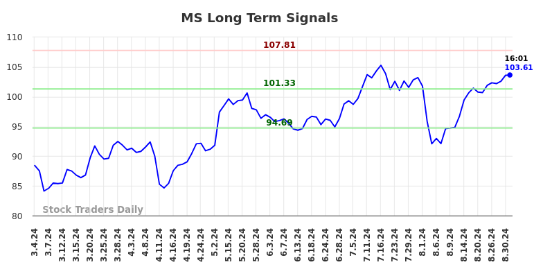 MS Long Term Analysis for August 31 2024