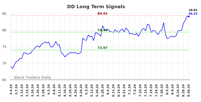 DD Long Term Analysis for September 1 2024