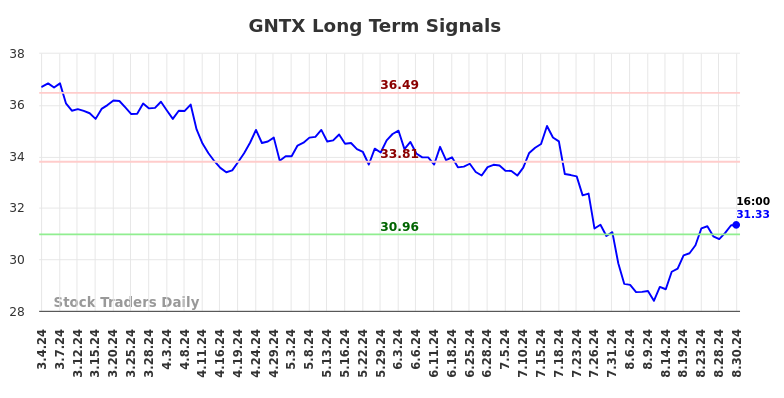 GNTX Long Term Analysis for September 1 2024