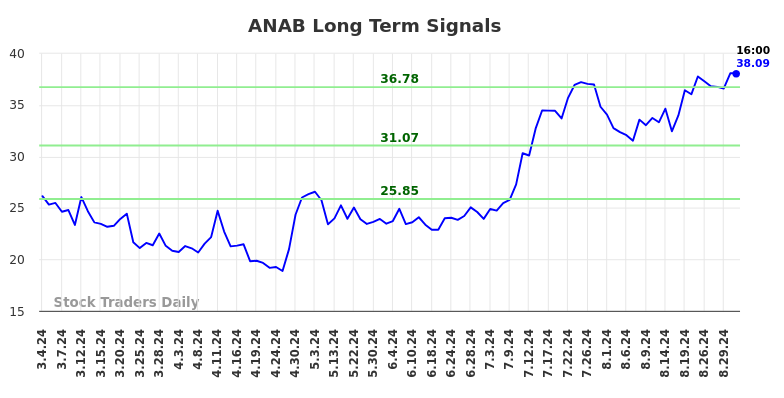 ANAB Long Term Analysis for September 2 2024