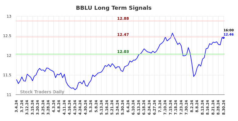 BBLU Long Term Analysis for September 2 2024