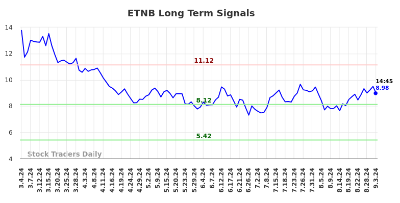 ETNB Long Term Analysis for September 3 2024