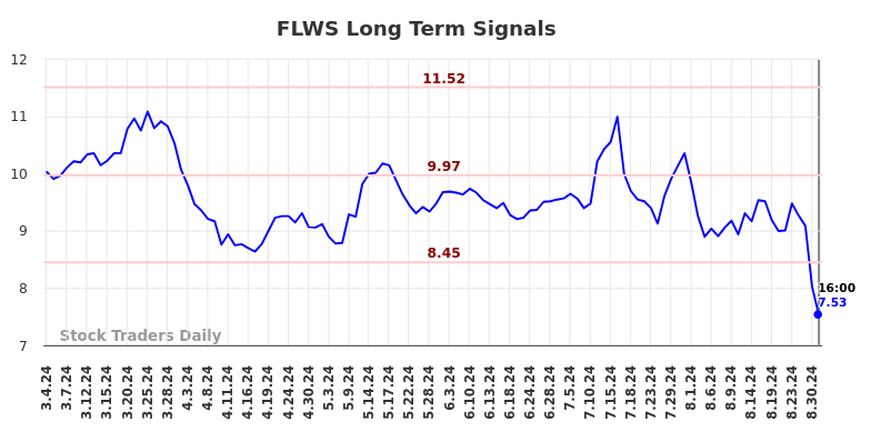 FLWS Long Term Analysis for September 3 2024