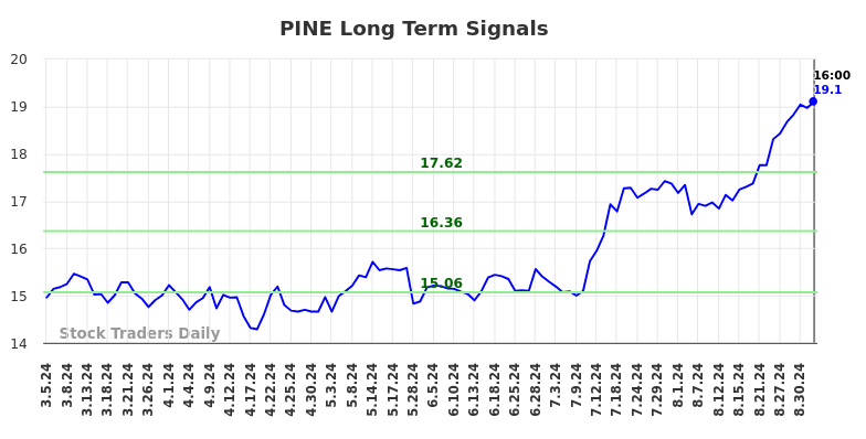 PINE Long Term Analysis for September 6 2024