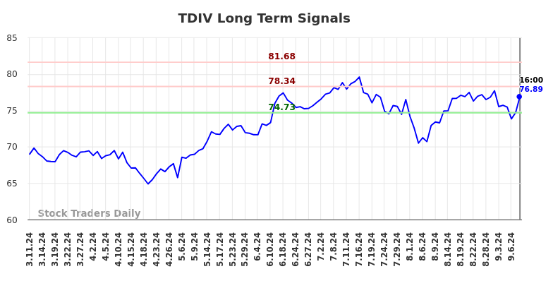 TDIV Long Term Analysis for September 11 2024