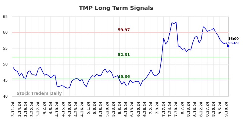 TMP Long Term Analysis for September 11 2024