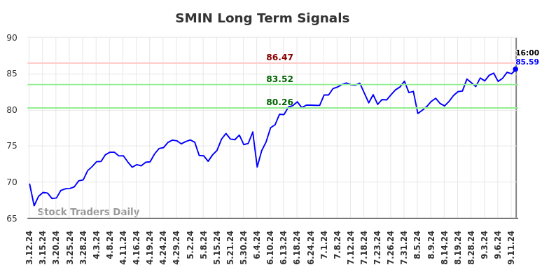 SMIN Long Term Analysis for September 13 2024