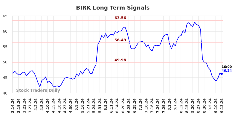 BIRK Long Term Analysis for September 14 2024