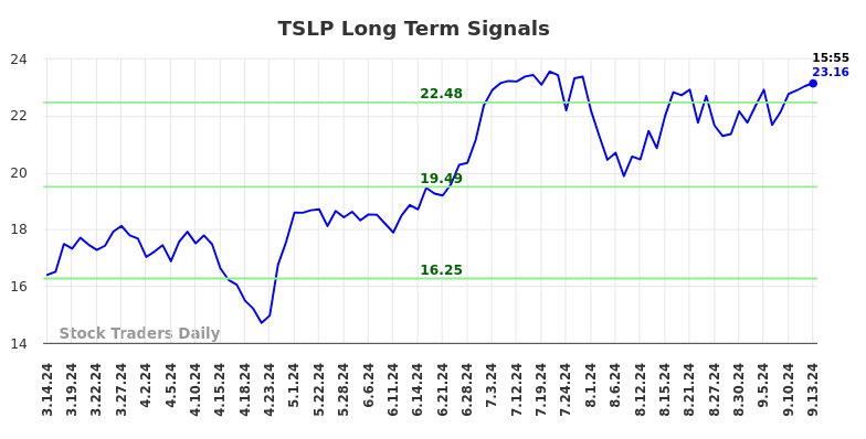 TSLP Long Term Analysis for September 15 2024