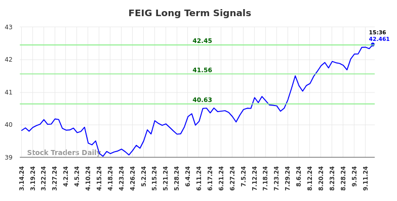 FEIG Long Term Analysis for September 15 2024