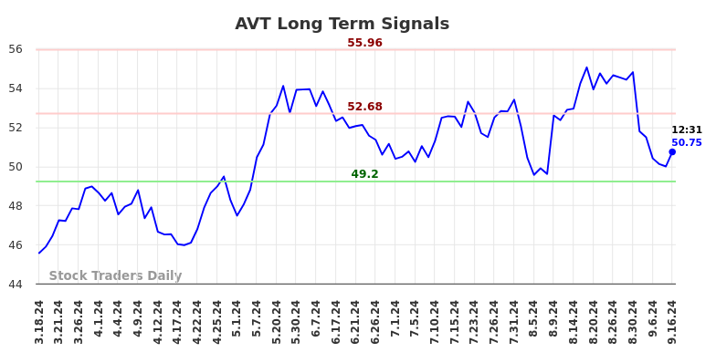 AVT Long Term Analysis for September 16 2024