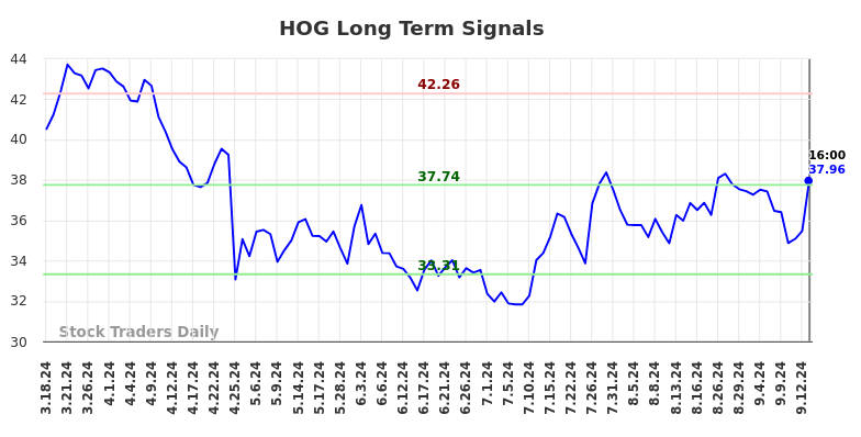 HOG Long Term Analysis for September 16 2024