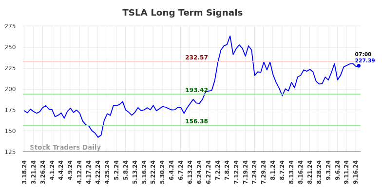 TSLA Long Term Analysis for September 17 2024