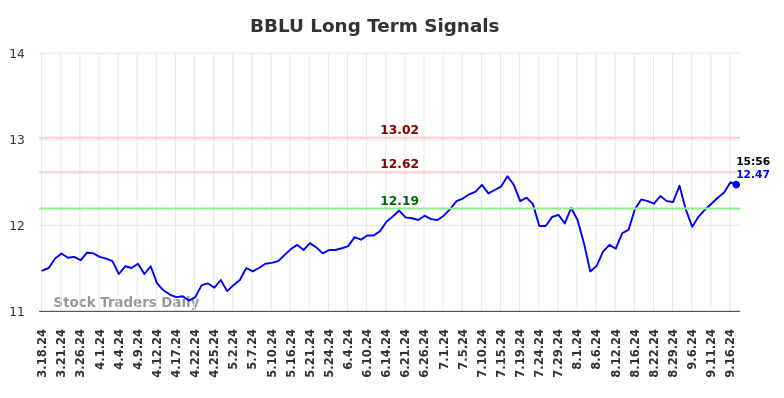 BBLU Long Term Analysis for September 17 2024