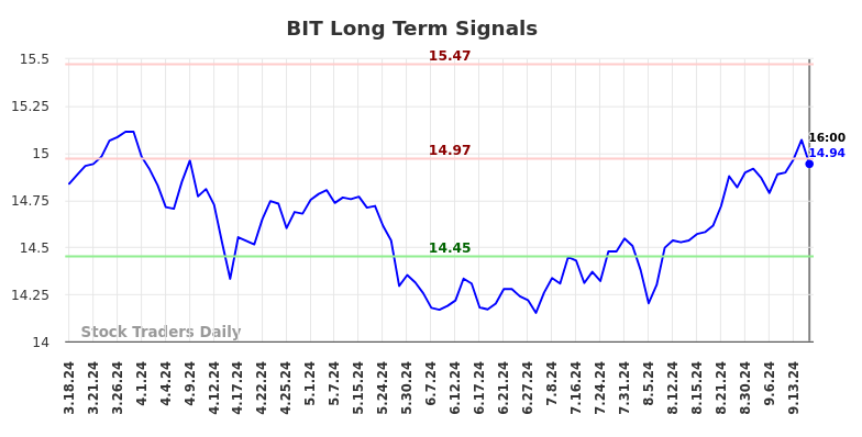 BIT Long Term Analysis for September 17 2024