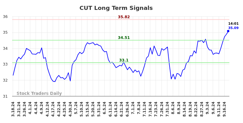 CUT Long Term Analysis for September 18 2024