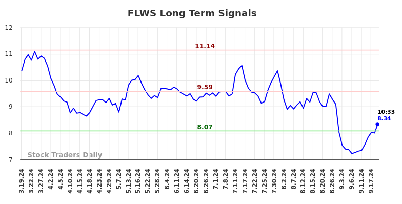 FLWS Long Term Analysis for September 19 2024