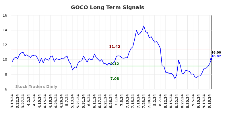 GOCO Long Term Analysis for September 19 2024