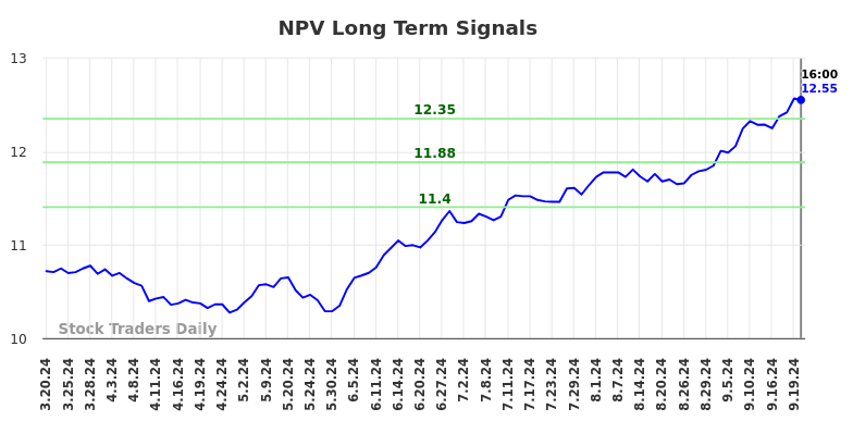 NPV Long Term Analysis for September 21 2024