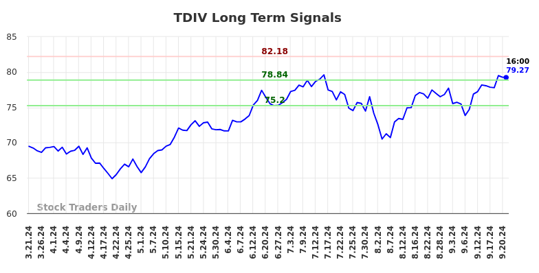 TDIV Long Term Analysis for September 22 2024