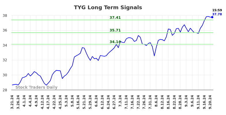 TYG Long Term Analysis for September 22 2024