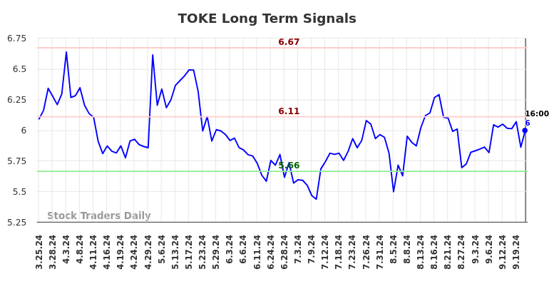 TOKE Long Term Analysis for September 23 2024