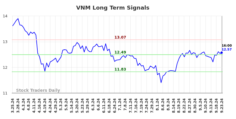 VNM Long Term Analysis for September 24 2024