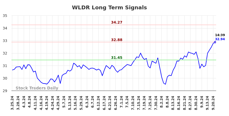 WLDR Long Term Analysis for September 24 2024