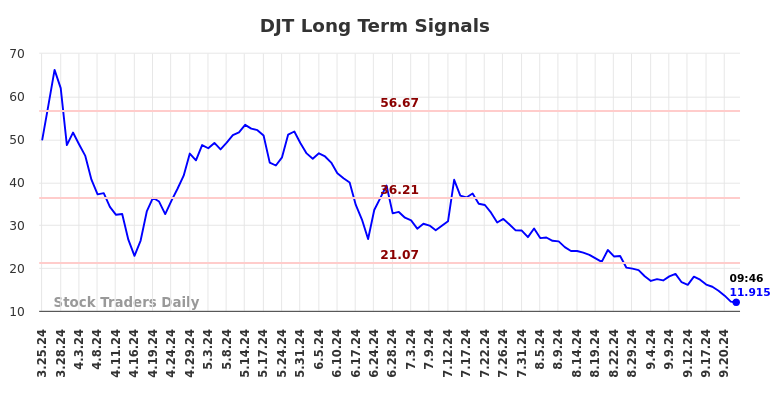 DJT Long Term Analysis for September 24 2024