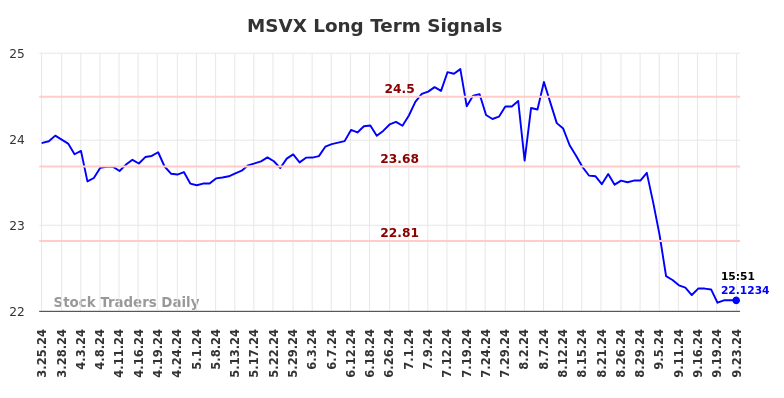 MSVX Long Term Analysis for September 24 2024