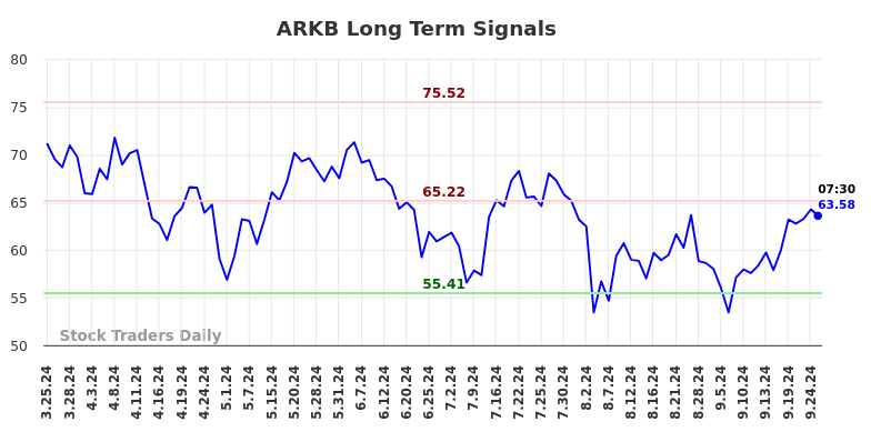 ARKB Long Term Analysis for September 25 2024