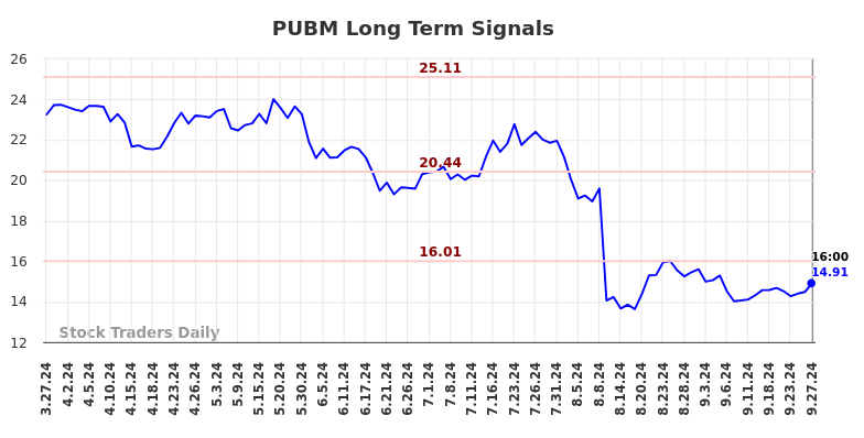 PUBM Long Term Analysis for September 27 2024