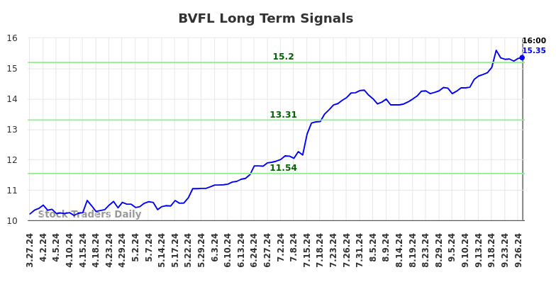 BVFL Long Term Analysis for September 28 2024