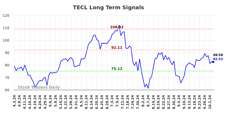 TECL Long Term Analysis for October 3 2024