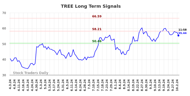 TREE Long Term Analysis for October 3 2024