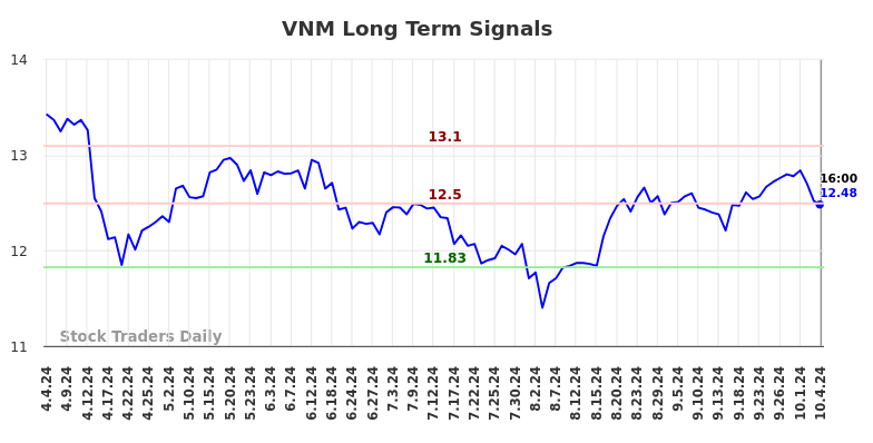 VNM Long Term Analysis for October 4 2024