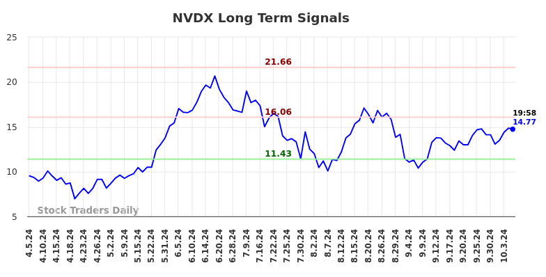 NVDX Long Term Analysis for October 6 2024