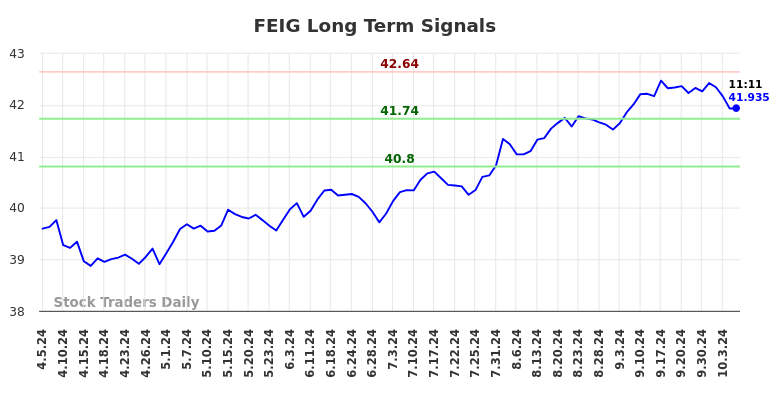 FEIG Long Term Analysis for October 6 2024