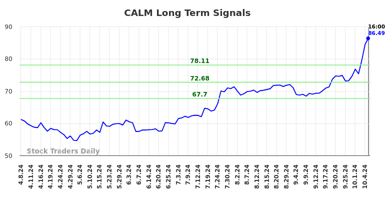 CALM Long Term Analysis for October 8 2024