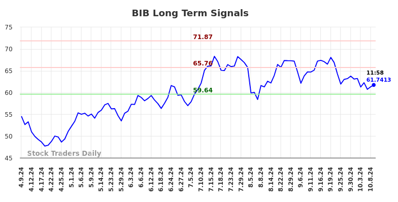 BIB Long Term Analysis for October 9 2024